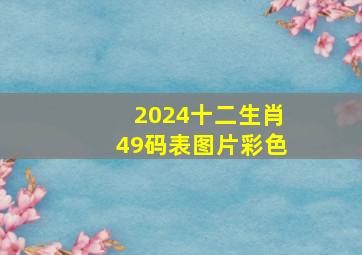 2024十二生肖49码表图片彩色