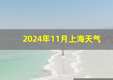 2024年11月上海天气