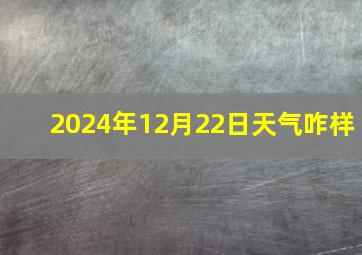 2024年12月22日天气咋样