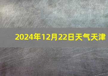 2024年12月22日天气天津