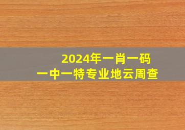 2024年一肖一码一中一特专业地云周查