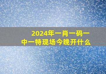 2024年一肖一码一中一特现场今晚开什么