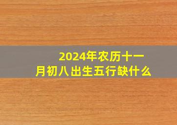 2024年农历十一月初八出生五行缺什么