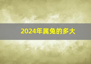 2024年属兔的多大