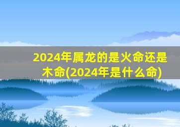 2024年属龙的是火命还是木命(2024年是什么命)