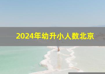 2024年幼升小人数北京