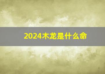 2024木龙是什么命