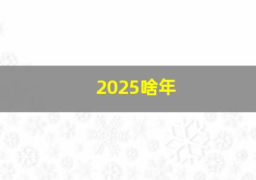 2025啥年