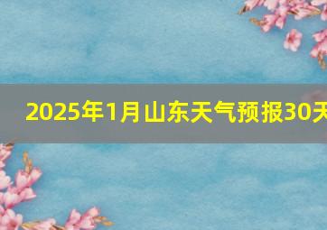 2025年1月山东天气预报30天