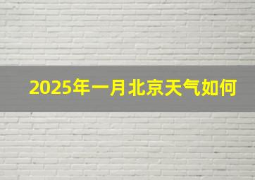 2025年一月北京天气如何