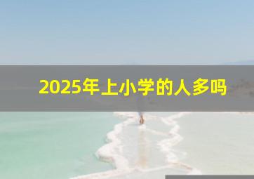 2025年上小学的人多吗