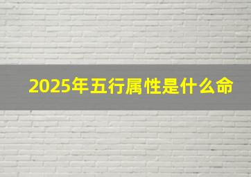 2025年五行属性是什么命