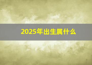 2025年出生属什么