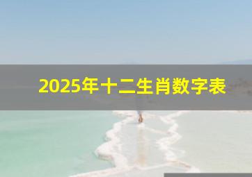 2025年十二生肖数字表