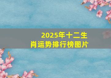 2025年十二生肖运势排行榜图片