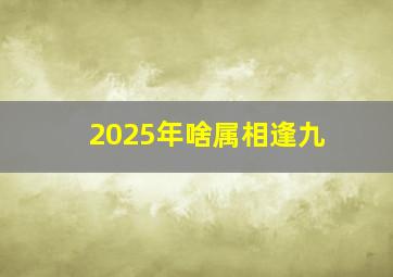 2025年啥属相逢九