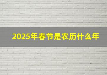 2025年春节是农历什么年