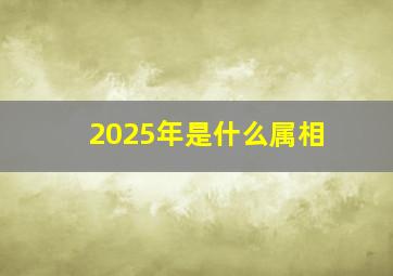 2025年是什么属相