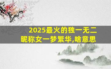 2025最火的独一无二昵称女一梦繁华,啥意思