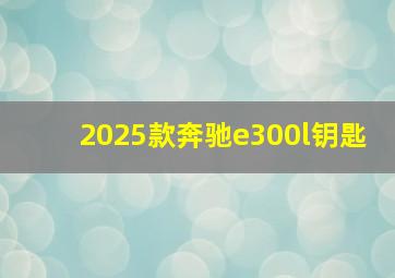 2025款奔驰e300l钥匙