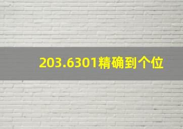 203.6301精确到个位