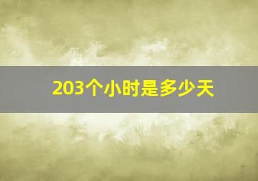 203个小时是多少天