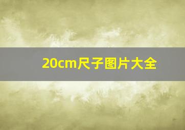 20cm尺子图片大全