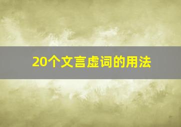 20个文言虚词的用法