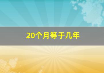 20个月等于几年