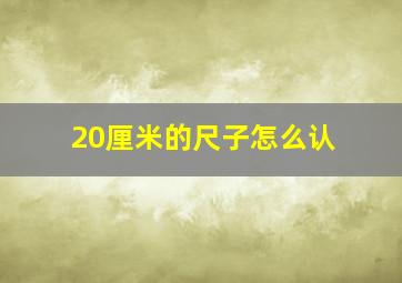 20厘米的尺子怎么认