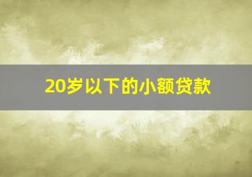 20岁以下的小额贷款