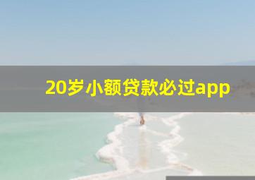 20岁小额贷款必过app