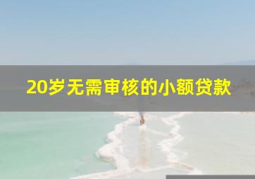 20岁无需审核的小额贷款