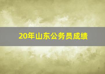 20年山东公务员成绩