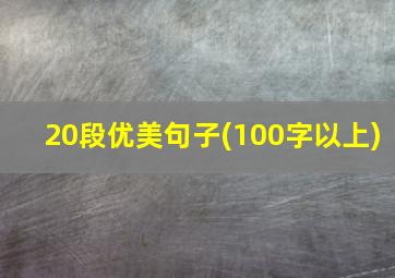 20段优美句子(100字以上)