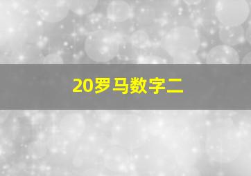 20罗马数字二