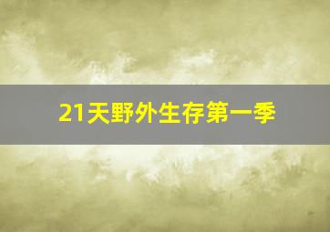 21天野外生存第一季