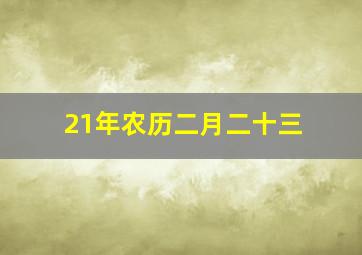 21年农历二月二十三