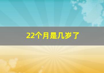 22个月是几岁了