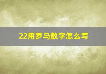 22用罗马数字怎么写