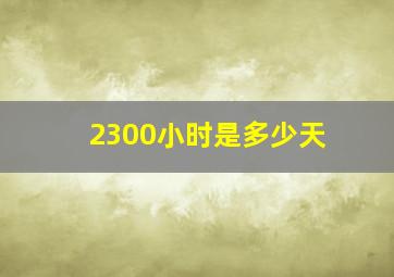 2300小时是多少天