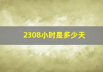 2308小时是多少天