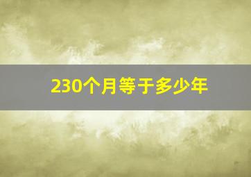 230个月等于多少年