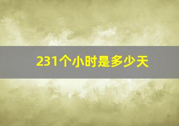 231个小时是多少天