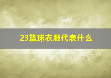 23篮球衣服代表什么