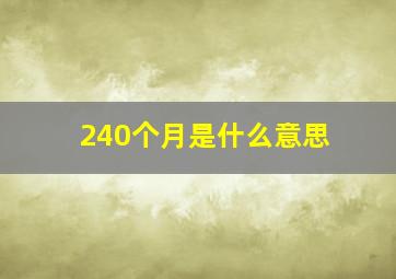 240个月是什么意思