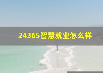 24365智慧就业怎么样