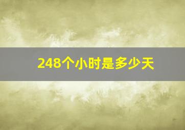 248个小时是多少天