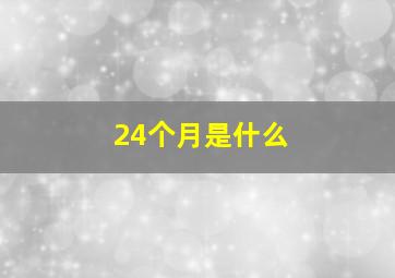 24个月是什么