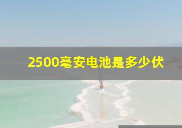 2500毫安电池是多少伏